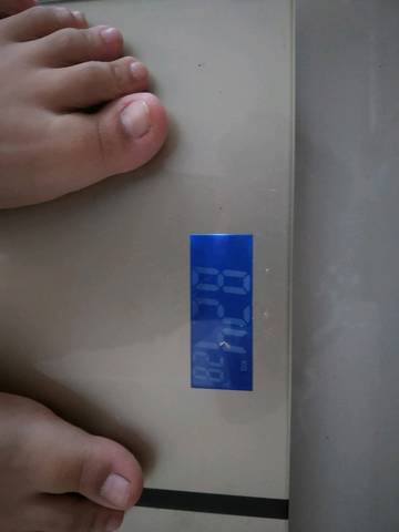 journal_insert_pic_921332093