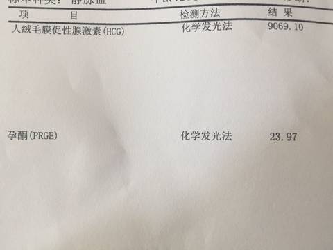 journal_insert_pic_921702097