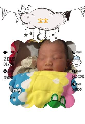 journal_insert_pic_921537466