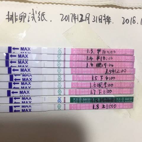 journal_insert_pic_921626117
