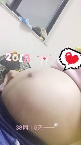 journal_insert_pic_921598688
