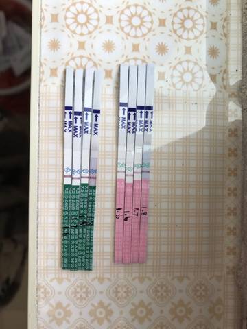 journal_insert_pic_921385862