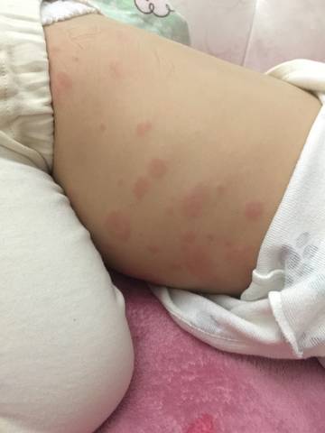 journal_insert_pic_922436012
