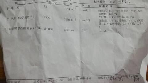 journal_insert_pic_922225396