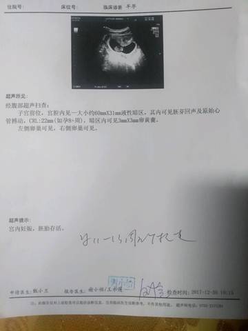 journal_insert_pic_922708349
