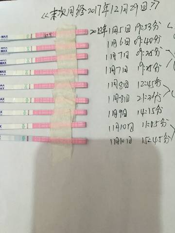 journal_insert_pic_922830369