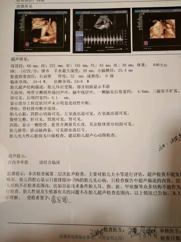 journal_insert_pic_923272508