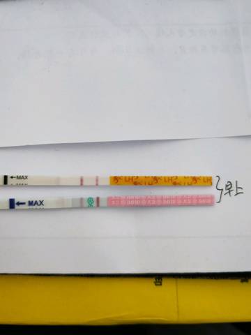 journal_insert_pic_923217070
