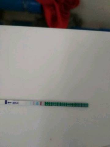 journal_insert_pic_923274755