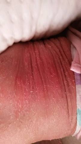 journal_insert_pic_923226614