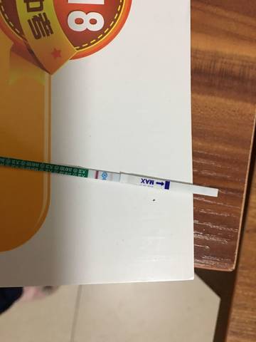 journal_insert_pic_923541200