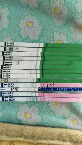 journal_insert_pic_924152361