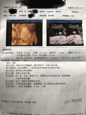 journal_insert_pic_923804349