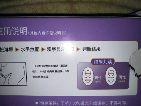 journal_insert_pic_924389633