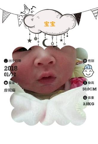 journal_insert_pic_925465310