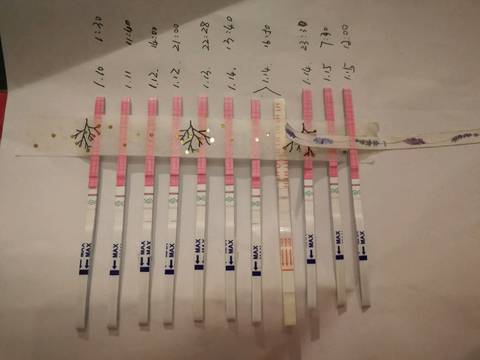 journal_insert_pic_925856395