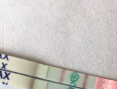 journal_insert_pic_926092355