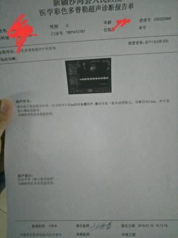 journal_insert_pic_925788044