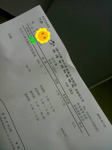 journal_insert_pic_927566221