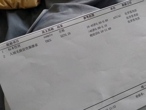 journal_insert_pic_927274804
