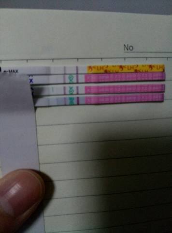 journal_insert_pic_927472733