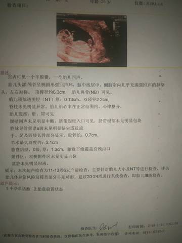 journal_insert_pic_927348898