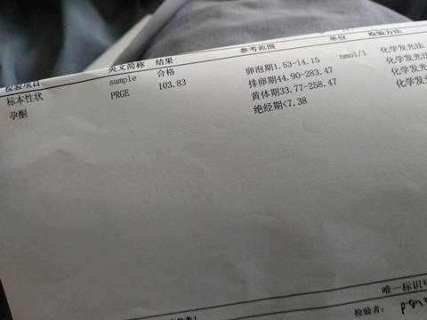 journal_insert_pic_927274809