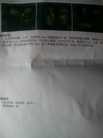 journal_insert_pic_927734513