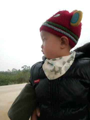 journal_insert_pic_927915346