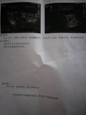 journal_insert_pic_929203024
