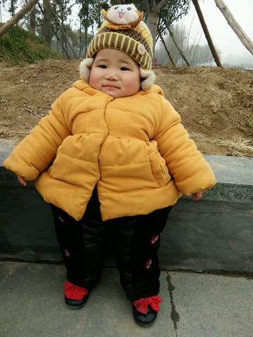 journal_insert_pic_929434060