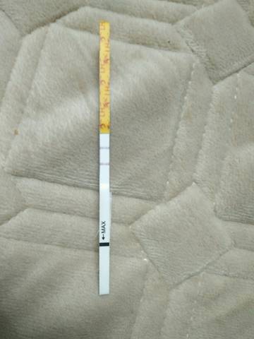 journal_insert_pic_929355101