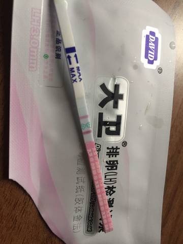 journal_insert_pic_929062467