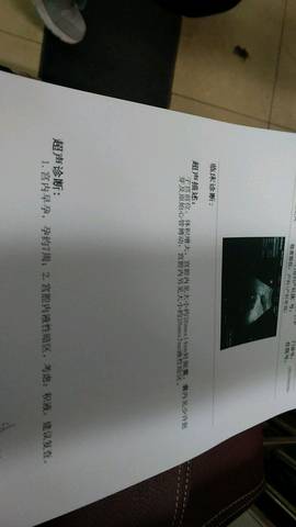 journal_insert_pic_929361606