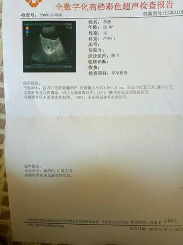 journal_insert_pic_929866450
