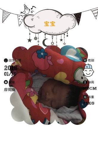 journal_insert_pic_930063426