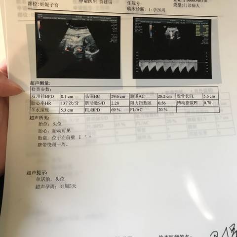journal_insert_pic_930050993
