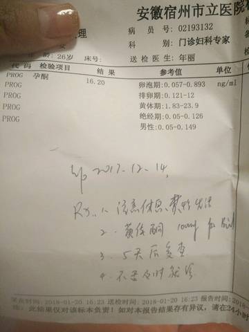 journal_insert_pic_929900949