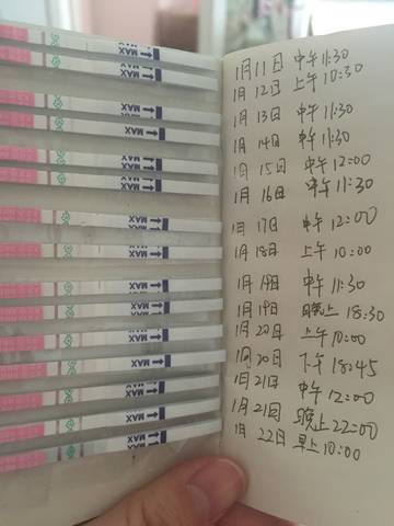 journal_insert_pic_930433735