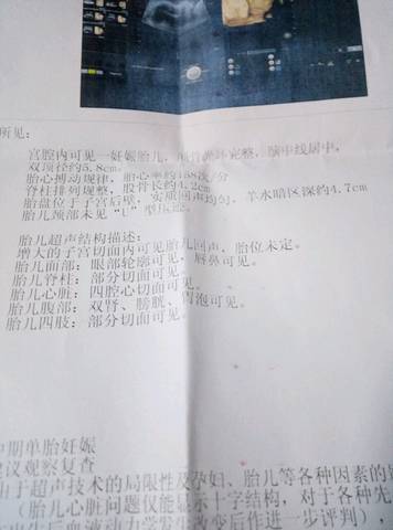 journal_insert_pic_930630573