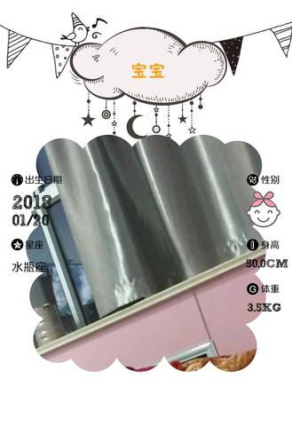 journal_insert_pic_930415559