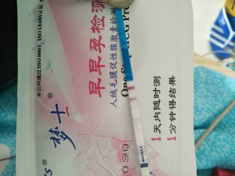 journal_insert_pic_930470029