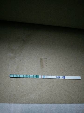 journal_insert_pic_930723196