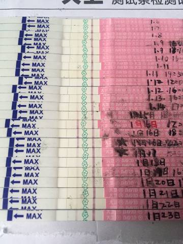 journal_insert_pic_931273194