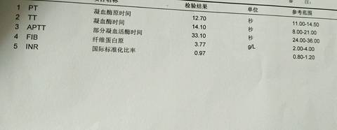 journal_insert_pic_931046023