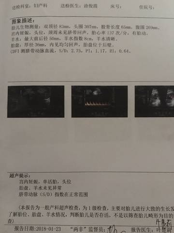 journal_insert_pic_931025937