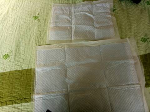 journal_insert_pic_932977778