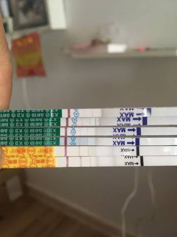 journal_insert_pic_933713322
