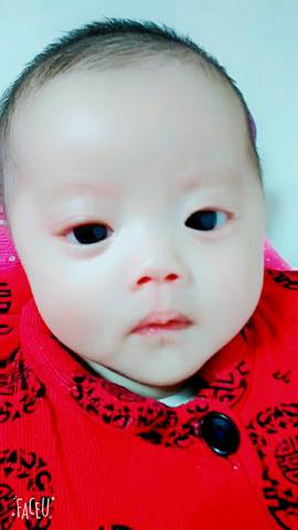 journal_insert_pic_933435656