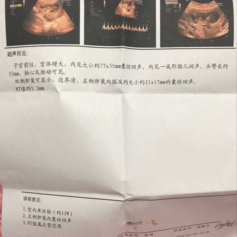 journal_insert_pic_934372030